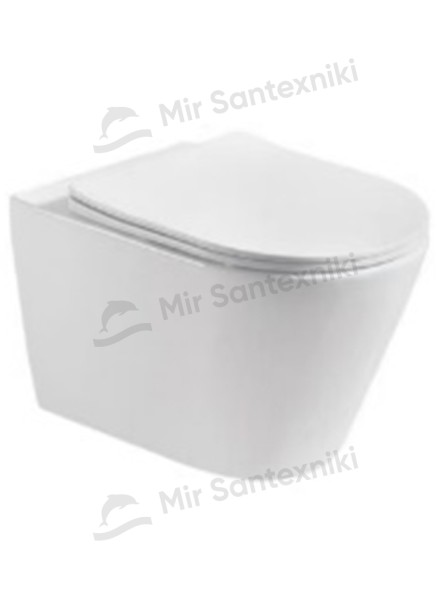 Debora DBR-909BD бидеli hojatxona